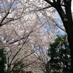 春のイメージチェンジ　カラーが上手い美容室　川口　angelotti by anyyhow